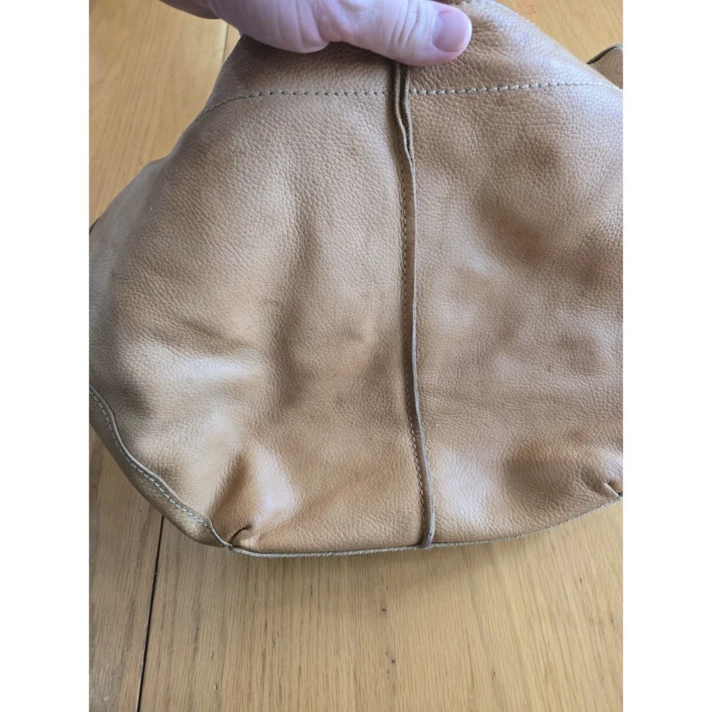 Fossil camel brown